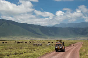 Unesco World Heritage Site Ngorongoro Crater African Wildlife Wallpaper