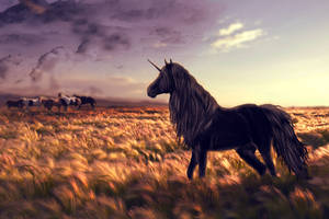 Unicorn And Horses Unique Hd Wallpaper