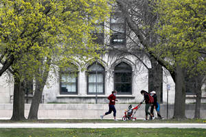 University Of Chicago Park Wallpaper