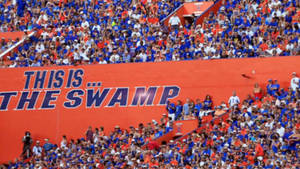 University Of Florida Football Field Wallpaper