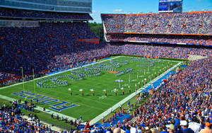 University Of Florida Football Stadium Wallpaper