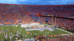 University Of Florida Uf Cheerleaders Wallpaper