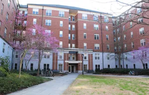 University Of Georgia Open Space Wallpaper