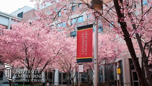 University Of Maryland Graduate School Wallpaper