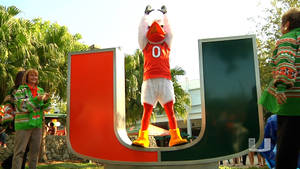 University Of Miami Logo And Sebastian Wallpaper