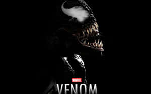 Unleash Your Dark Destructive Side With Black Venom Wallpaper