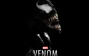 Unleash Your Dark Destructive Side With Black Venom Wallpaper