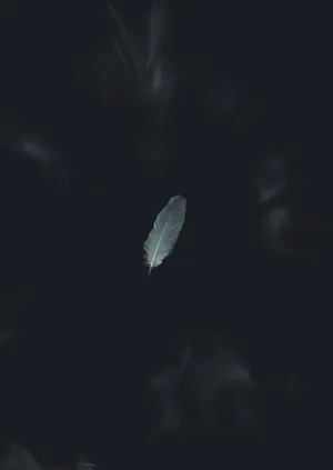 Unlock Endless Possibilities With The Latest Ultra Hd Android Display Wallpaper