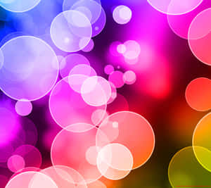 Unlock The Premium Photography Experience With The Nexus 5 Wallpaper