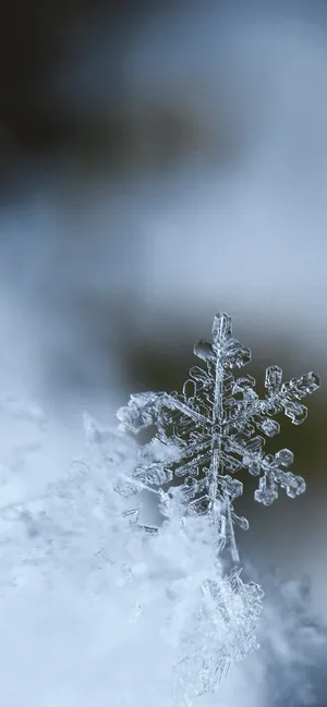 Unwrap The Magic Wallpaper