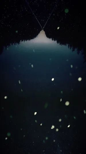 Upside Down Road Home Screen Wallpaper