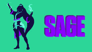 Valorant's Sage Battles On The Frontlines Wallpaper