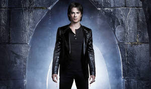 Vampire Diaries Damon Salvatore Wallpaper