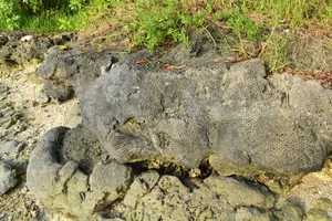 Vanuatu Shore Rocks Wallpaper