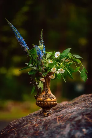 Vase Outdoors Blue Flowers Phone Wallpaper