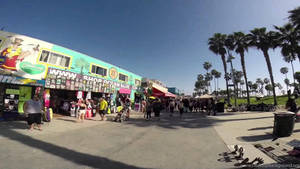 Venice Beach Store Trees Wallpaper