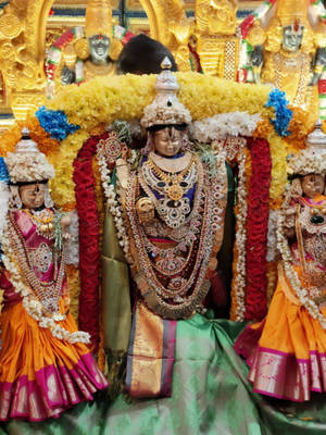 Venkateswara Swamy With Gold Ornaments Wallpaper