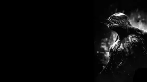 Venom Wallpapers Hd Wallpapers Wallpaper