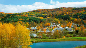 Vermont Chelsea In Autumn Wallpaper