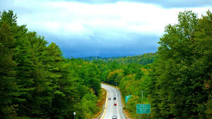 Vermont Forest Road Wallpaper