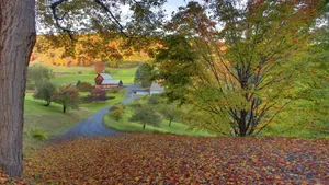Vermont Woodstock Autumn Wallpaper