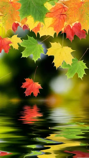 Vertical Colored Maple Wallpaper