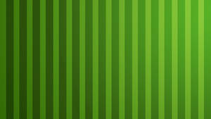 Vertical Green Lines Wallpaper