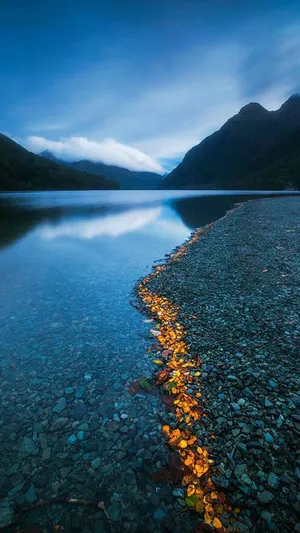 Vertical Landscape And Stones Wallpaper