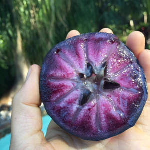 Vibrant And Ripe Star Apple Fruit Wallpaper