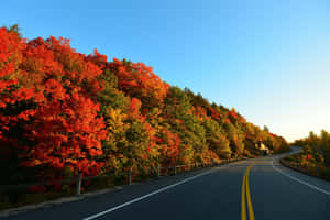 Vibrant Autumn Roadscape Wallpaper