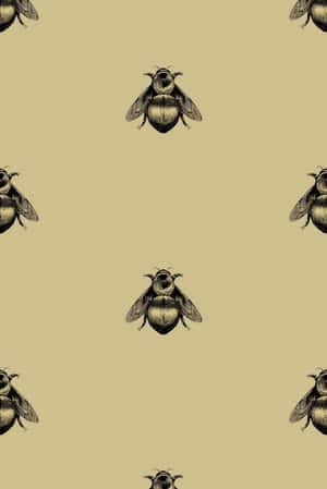Vibrant Bee On Flower Iphone Wallpaper Wallpaper