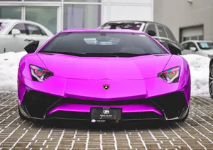 Vibrant Pink Lamborghini Aventador Front View Wallpaper