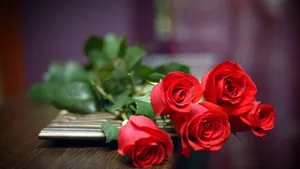 Vibrant Red Roses On A Laptop Display Wallpaper