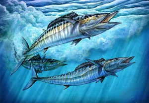 Vibrant Wahoo Fish In The Open Sea Wallpaper