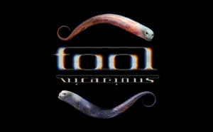 Vicarious By Tool - Inspiring Album Art Wallpaper