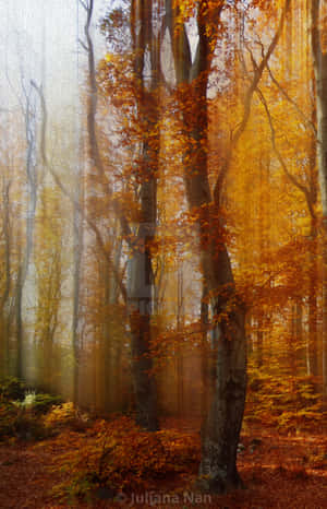 Vintage Autumn Realistic Forest Wallpaper