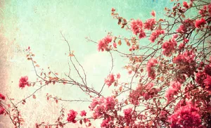 Vintage Cherry Blossom Floral Desktop Wallpaper