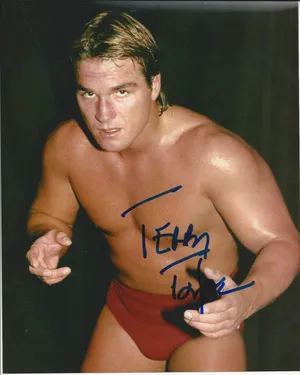 Vintage Memorabilia Terry Taylor Wallpaper