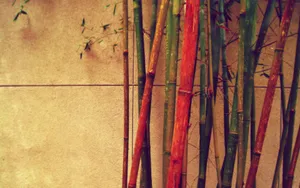 Vintage Red Bamboo Wallpaper