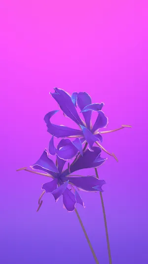 Violet Aesthetic Flower Apple Wallpaper