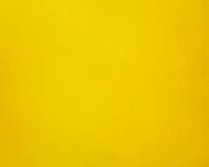 Vivid Yellow Color Wallpaper