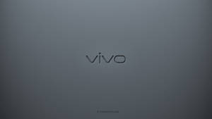 Vivo Logo On Gray Wallpaper