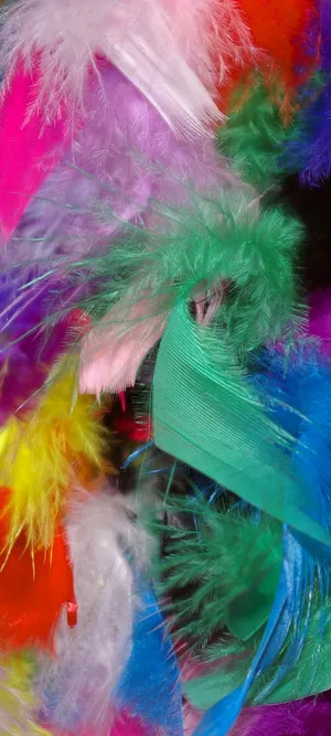 Vivo V20 Colorful Feathers Wallpaper