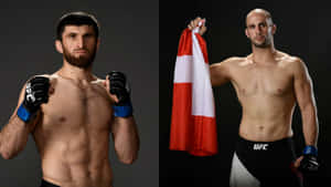 Volkan Oezdemir And Magomed Ankalaev Wallpaper