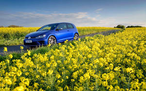 Volkswagen Golf R Taking A Drive In The Country Wallpaper