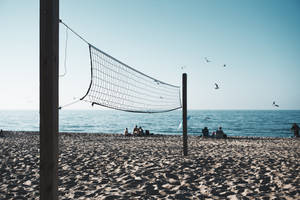 Volleyball Net On Shore Wallpaper