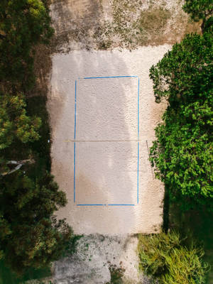 Volleyball Top View Court Wallpaper