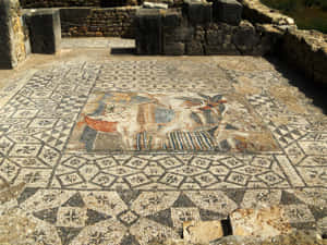 Volubilis Intricate Stone Floor Wallpaper