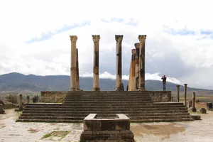 Volubilis Pedestal Base Wallpaper