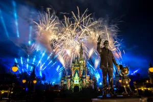 Walt Disney World Nighttime Wallpaper